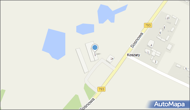 Zalesice, Sosnowa, 1, mapa Zalesice