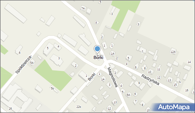 Borki, Spółdzielcza, 7, mapa Borki