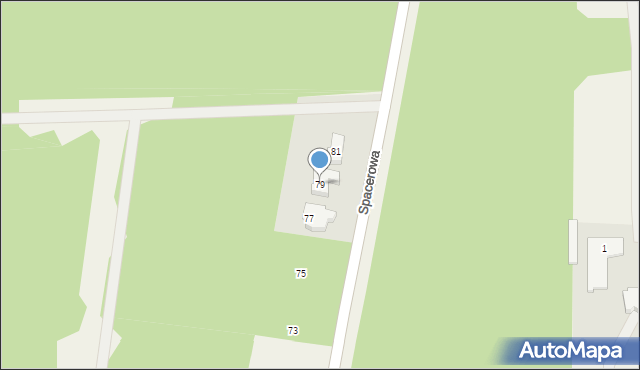 Borzęcin Duży, Spacerowa, 79, mapa Borzęcin Duży