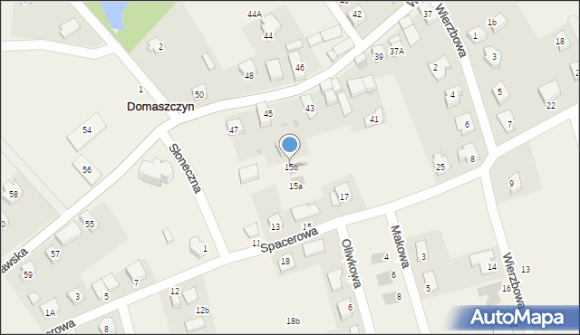 Domaszczyn, Spacerowa, 15b, mapa Domaszczyn