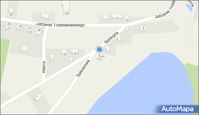 Kalisz, Spacerowa, 1, mapa Kalisza