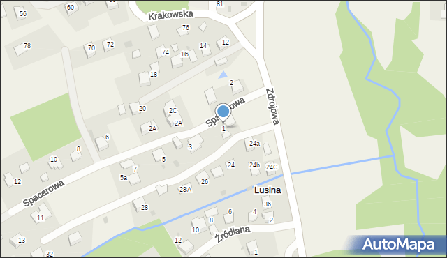 Lusina, Spacerowa, 1, mapa Lusina