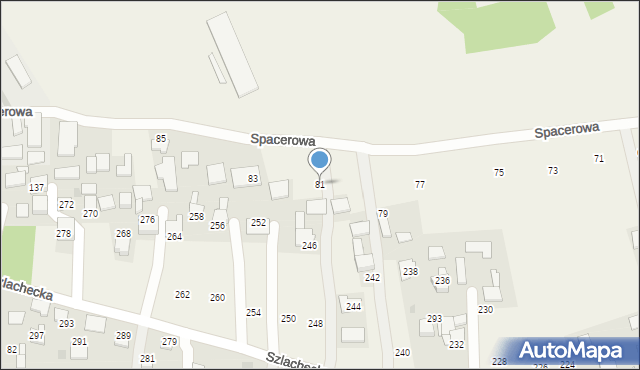 Nowa Wieś Szlachecka, Spacerowa, 81, mapa Nowa Wieś Szlachecka