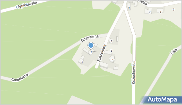 Nowe Żabno, Spacerowa, 2, mapa Nowe Żabno