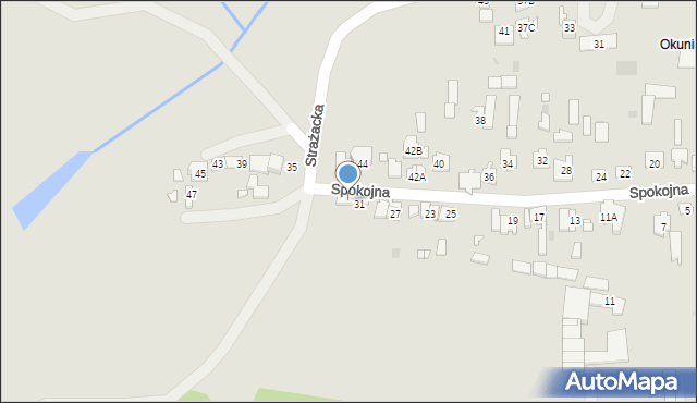 Nowy Dwór Mazowiecki, Spokojna, 33, mapa Nowy Dwór Mazowiecki