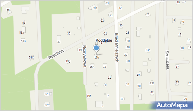 Poddębie, Spacerowa, 17A, mapa Poddębie