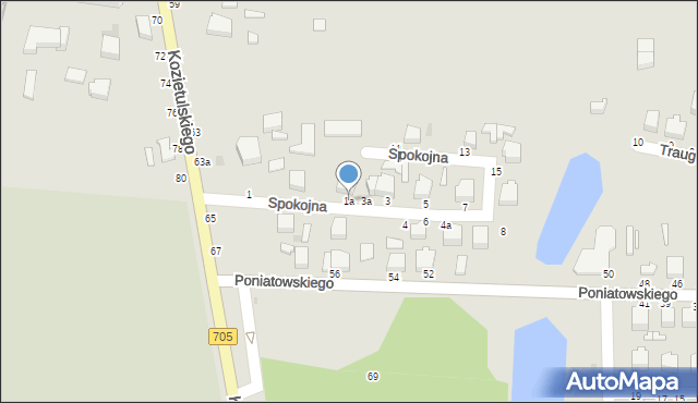 Skierniewice, Spokojna, 1a, mapa Skierniewic