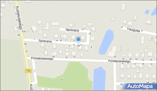 Skierniewice, Spokojna, 4a, mapa Skierniewic