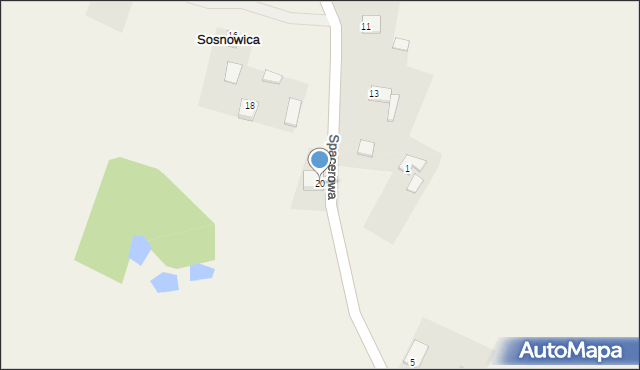 Sosnowica, Spacerowa, 20, mapa Sosnowica