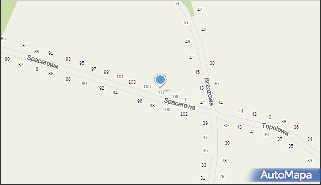 Tomaszowice, Spacerowa, 107, mapa Tomaszowice