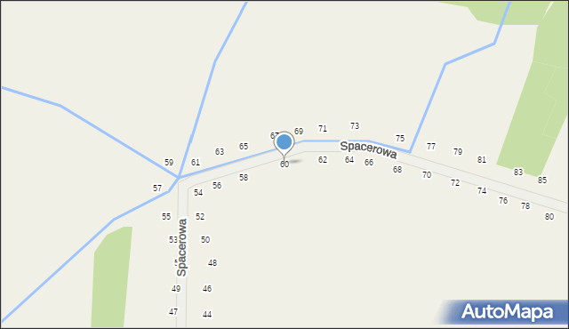 Tomaszowice, Spacerowa, 60, mapa Tomaszowice