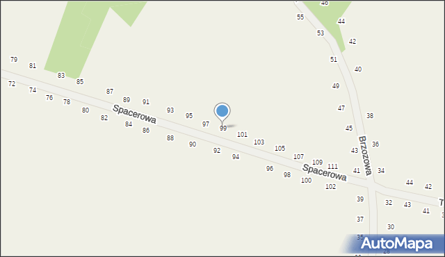 Tomaszowice, Spacerowa, 99, mapa Tomaszowice