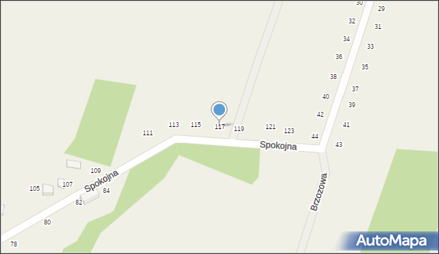Wielka Wieś, Spokojna, 117, mapa Wielka Wieś