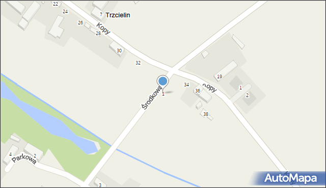 Trzcielin, Środkowa, 1, mapa Trzcielin