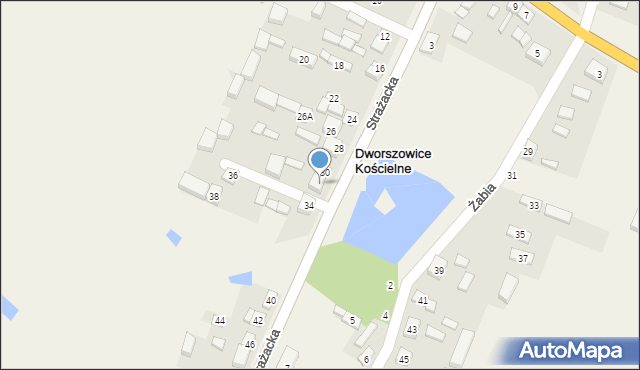 Dworszowice Kościelne, Strażacka, 32, mapa Dworszowice Kościelne