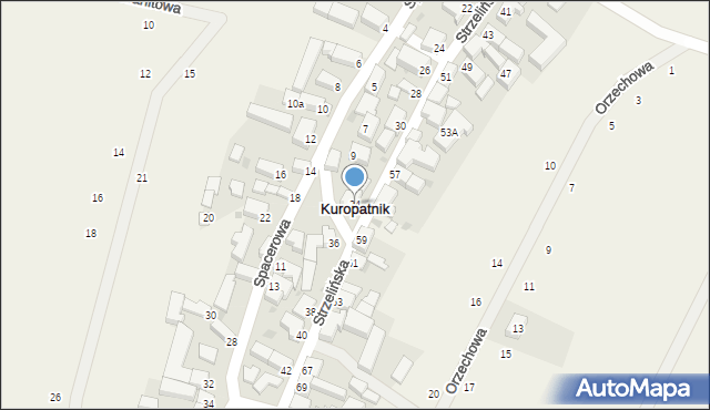 Kuropatnik, Strzelińska, 34, mapa Kuropatnik