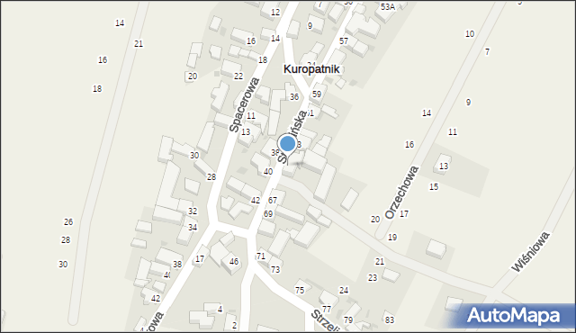 Kuropatnik, Strzelińska, 65, mapa Kuropatnik