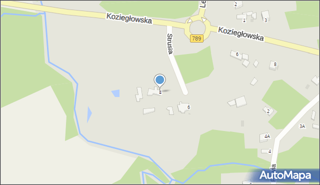 Myszków, Strusia, 4, mapa Myszków