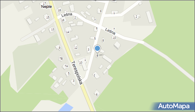 Neple, Strażacka, 6, mapa Neple