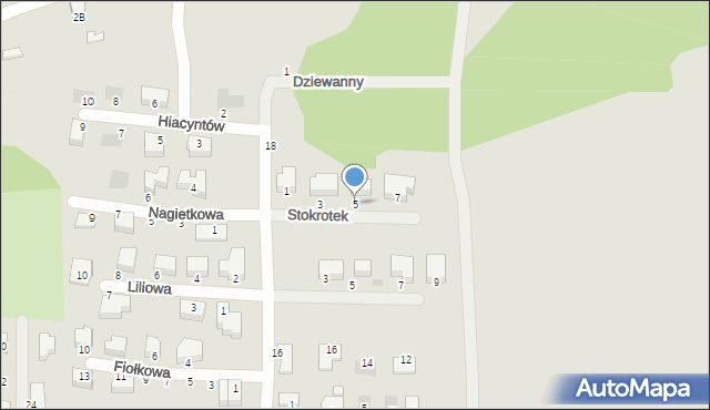Sosnowiec, Stokrotek, 5, mapa Sosnowca