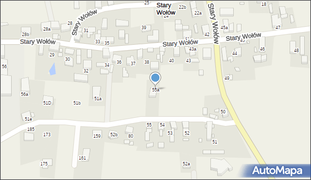 Stary Wołów, Stary Wołów, 55a, mapa Stary Wołów