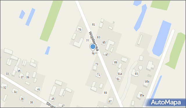 Strupin Duży, Strupin Duży, 75, mapa Strupin Duży