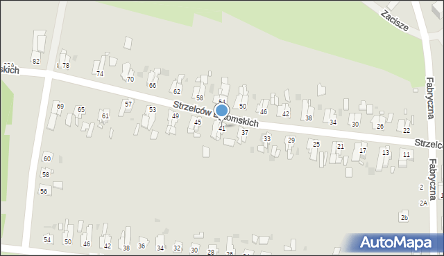 Strzelce Opolskie, Strzelców Bytomskich, 41, mapa Strzelce Opolskie