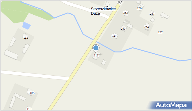 Strzeszkowice Duże, Strzeszkowice Duże, 111, mapa Strzeszkowice Duże