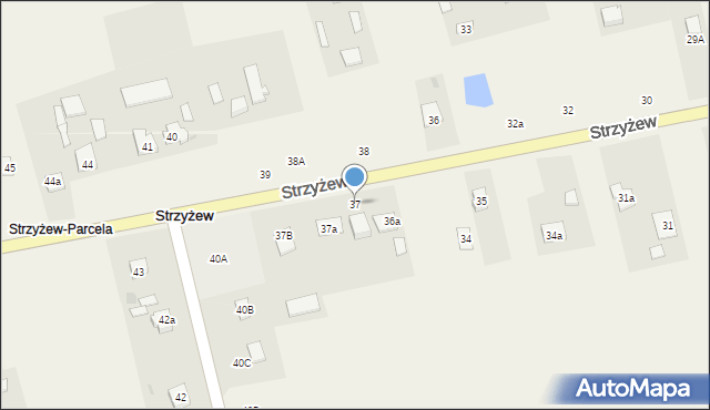 Strzyżew, Strzyżew, 37, mapa Strzyżew