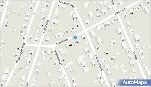 Warszawa, Sternicza, 113A, mapa Warszawy