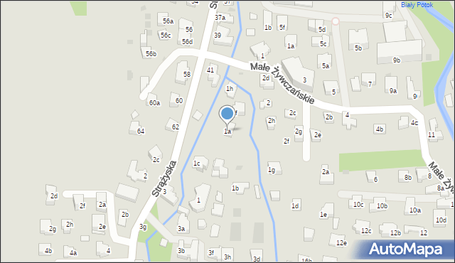 Zakopane, Strążyska, 1a, mapa Zakopanego