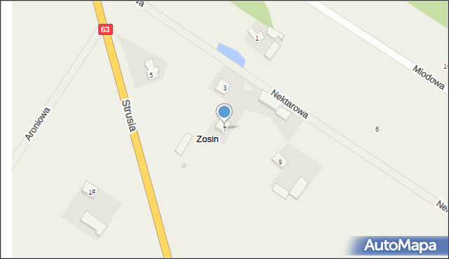 Zosin, Strusia, 7, mapa Zosin