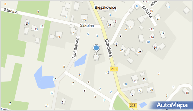 Bieszkowice, Szkolna, 1, mapa Bieszkowice