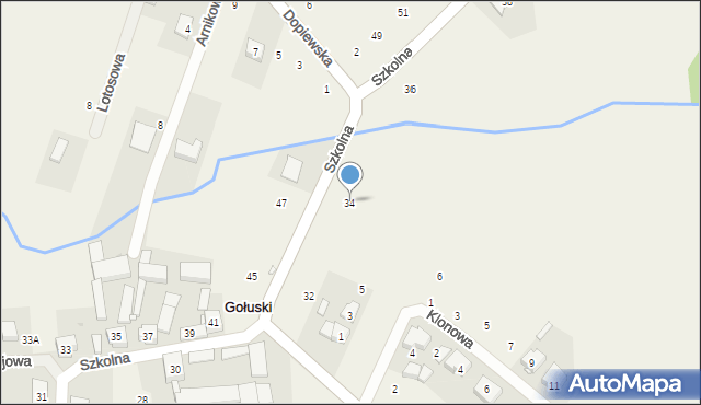 Gołuski, Szkolna, 34, mapa Gołuski