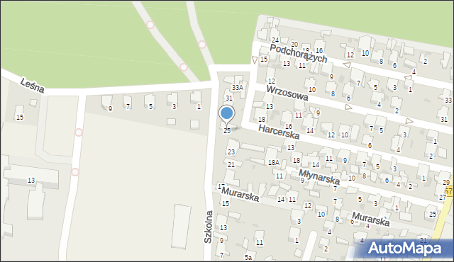 Leszno, Szkolna, 25, mapa Leszno