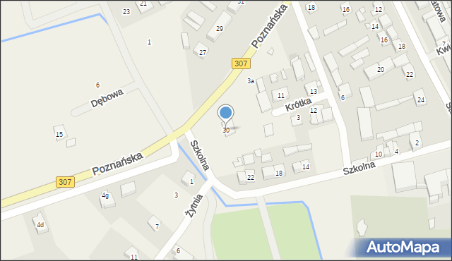 Niepruszewo, Szkolna, 30, mapa Niepruszewo