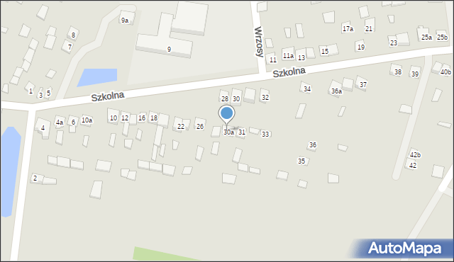 Oleśnica, Szkolna, 29b, mapa Oleśnica