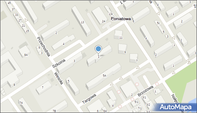 Poniatowa, Szkolna, 1, mapa Poniatowa