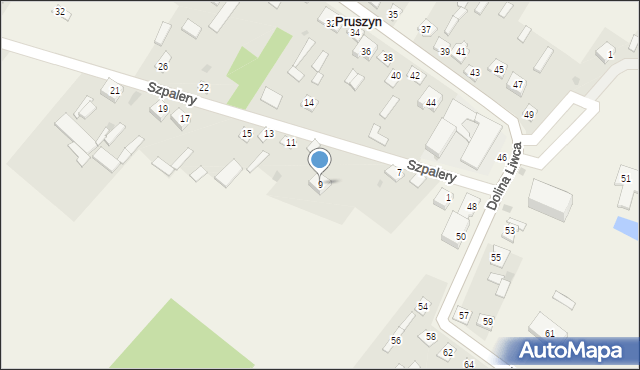 Pruszyn, Szpalery, 9, mapa Pruszyn