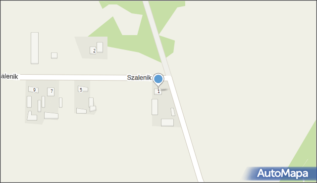 Szalenik, Szalenik, 1, mapa Szalenik