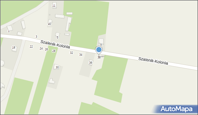 Szalenik-Kolonia, Szalenik-Kolonia, 38, mapa Szalenik-Kolonia