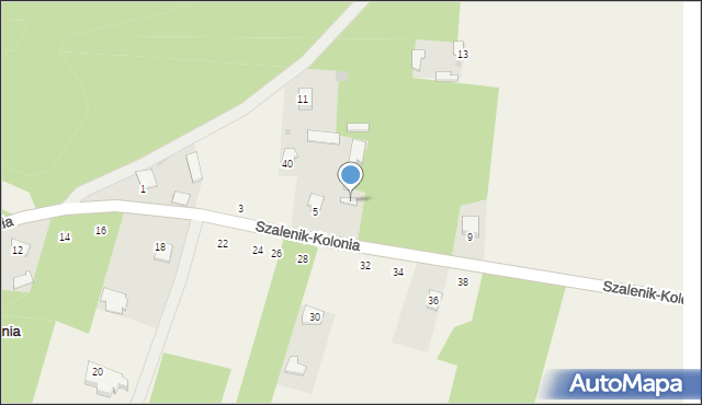 Szalenik-Kolonia, Szalenik-Kolonia, 7, mapa Szalenik-Kolonia