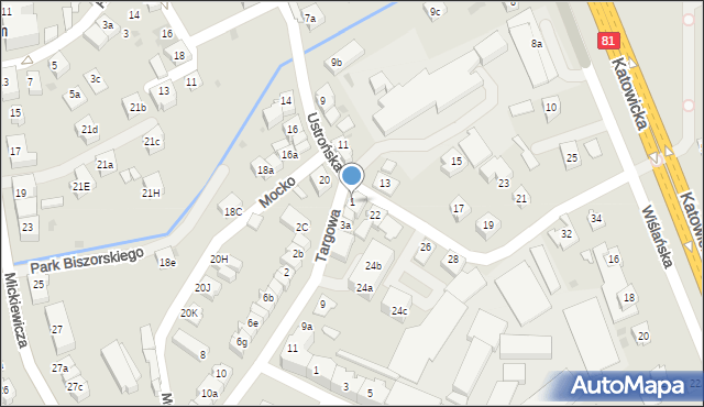 Skoczów, Targowa, 1, mapa Skoczów