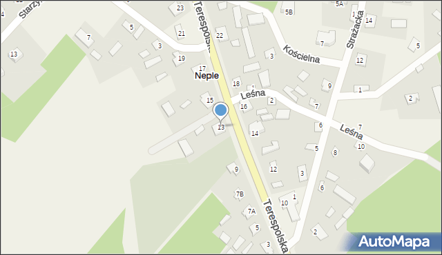 Neple, Terespolska, 13, mapa Neple