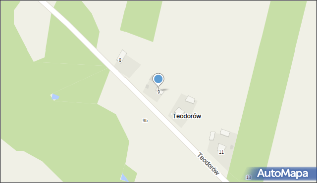 Teodorów, Teodorów, 9, mapa Teodorów