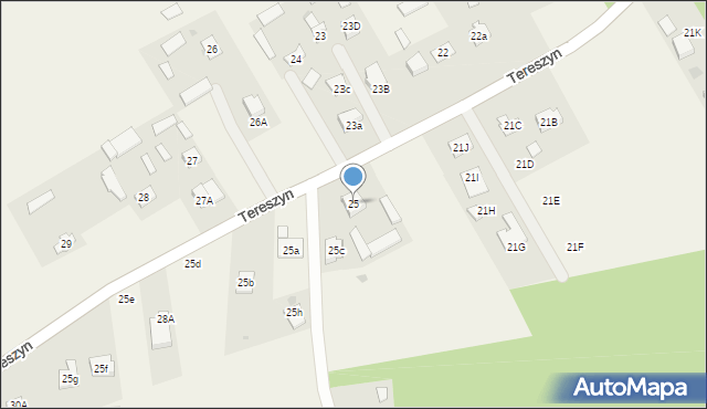 Tereszyn, Tereszyn, 25, mapa Tereszyn