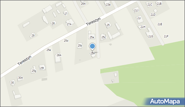 Tereszyn, Tereszyn, 25h, mapa Tereszyn