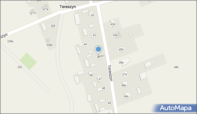 Tereszyn, Tereszyn, 45, mapa Tereszyn