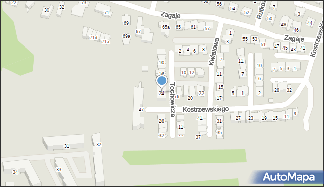 Kraków, Tochowicza Leona, 24, mapa Krakowa