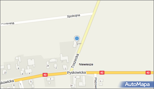 Niewiesze, Toszecka, 3, mapa Niewiesze